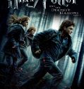 Harry Potter and the Deathly Hallows Part 1 2010