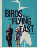 Film Online Birds Flying East (2024)