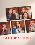 Goodbye June (2025)